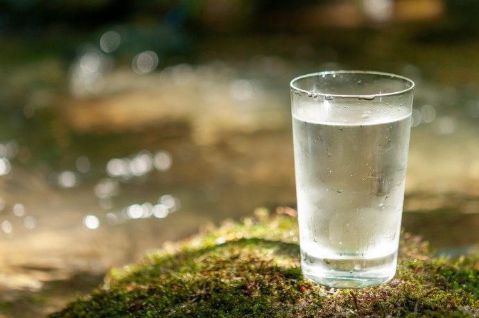Glass of water on a mossy rock beside a stream